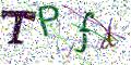 图形验证
