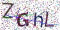 图形验证