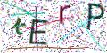 图形验证