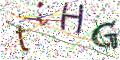 图形验证
