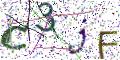 图形验证