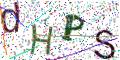 图形验证