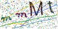 图形验证