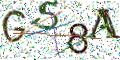 图形验证