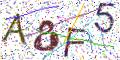 图形验证