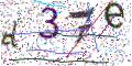 图形验证