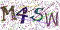 图形验证