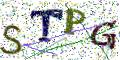 图形验证