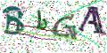 图形验证