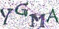 图形验证