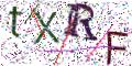 图形验证