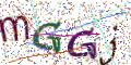 图形验证