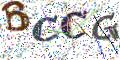 图形验证