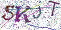 图形验证