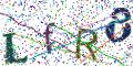 图形验证