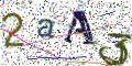 图形验证