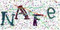 图形验证