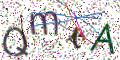 图形验证
