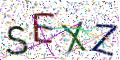 图形验证