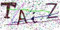 图形验证