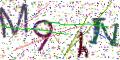 图形验证
