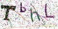 图形验证