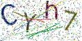 图形验证