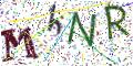 图形验证