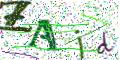 图形验证