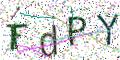 图形验证
