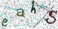 图形验证