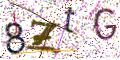 图形验证