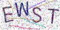 图形验证