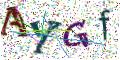 图形验证