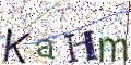 图形验证