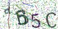 图形验证
