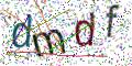 图形验证