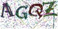 图形验证