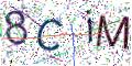 图形验证