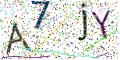 图形验证