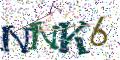 图形验证