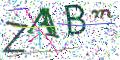 图形验证