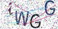 图形验证