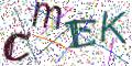 图形验证