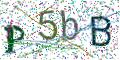 图形验证