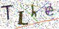 图形验证