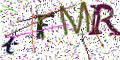 图形验证
