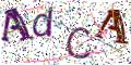 图形验证