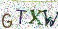 图形验证