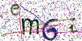 图形验证